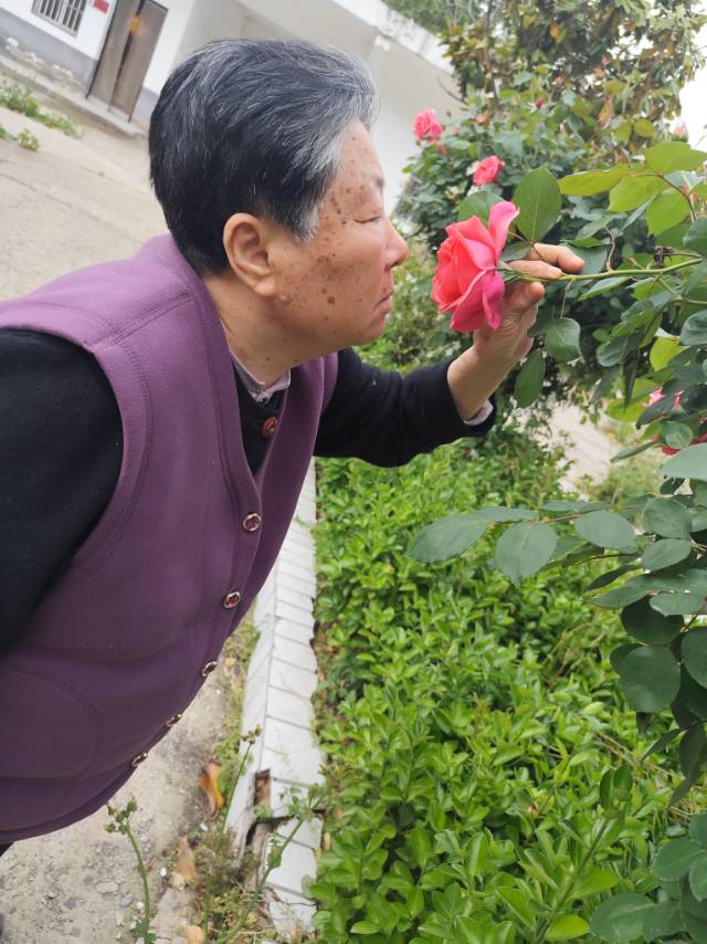 耿阿姨照片