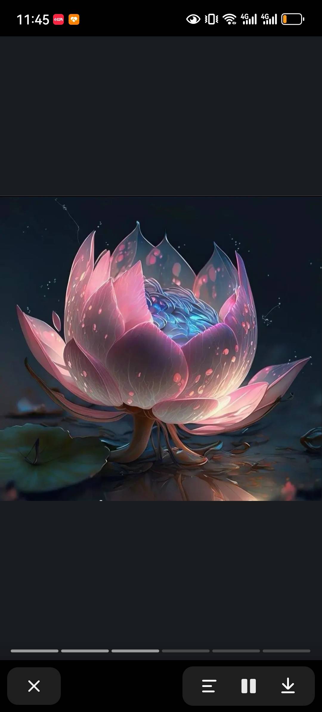 李阿姨照片