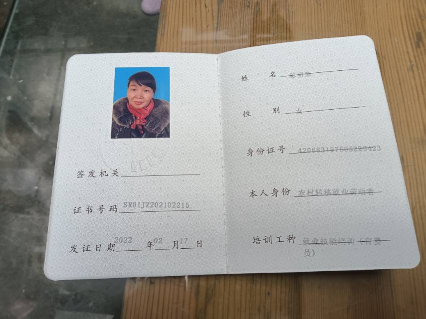 陈阿姨照片
