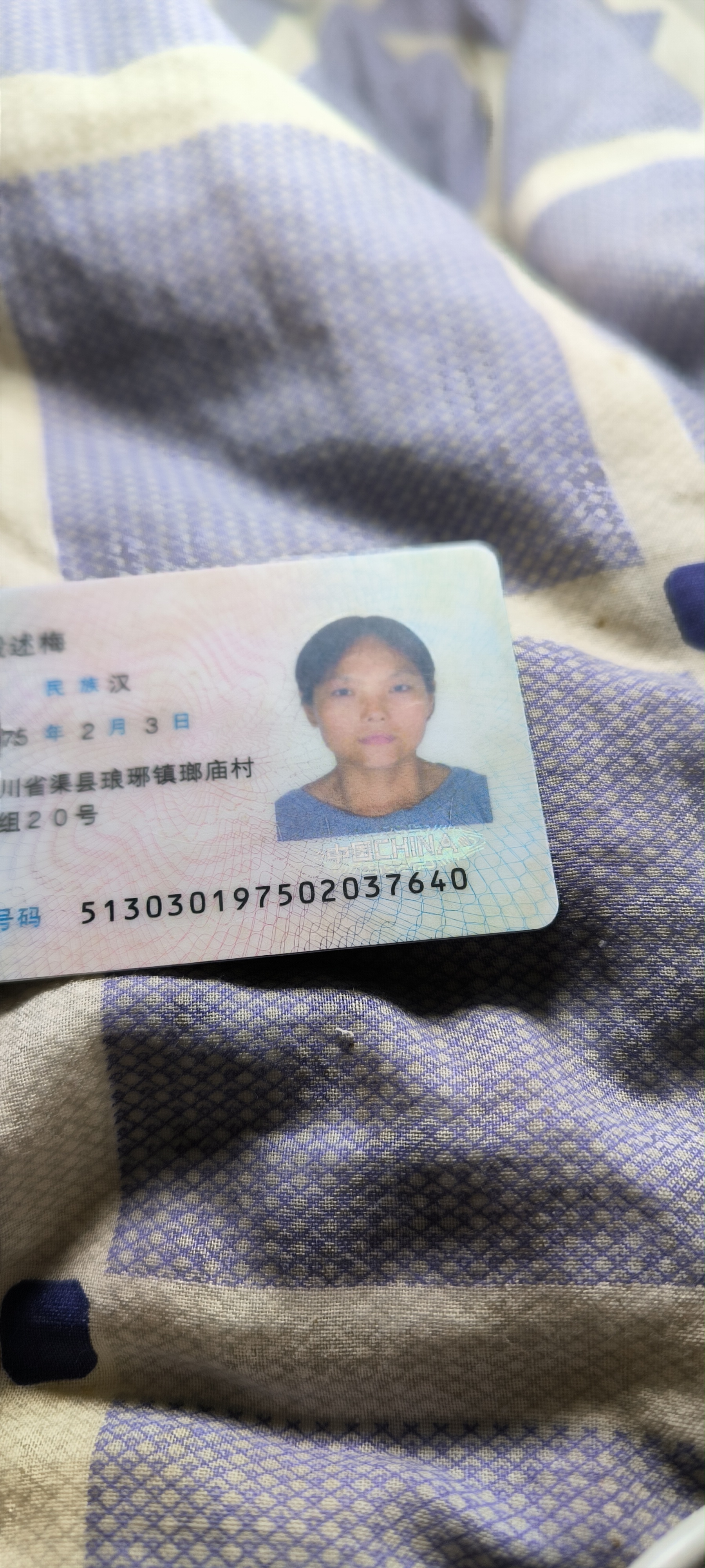 殷阿姨照片