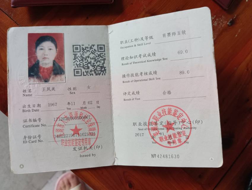 王阿姨照片