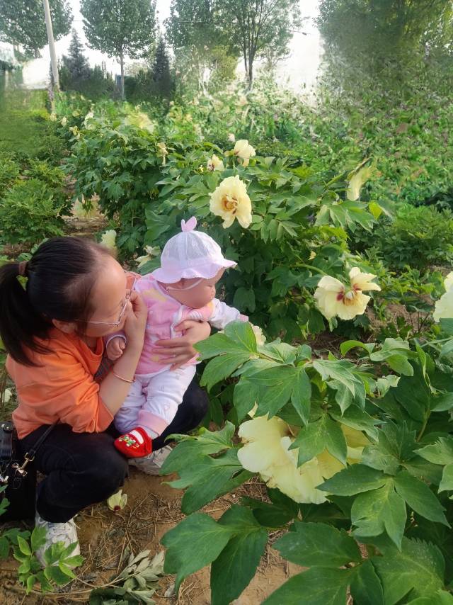 胡阿姨照片