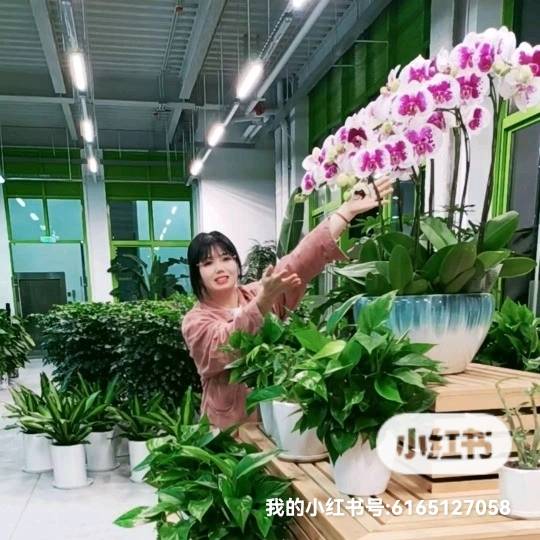 李阿姨照片