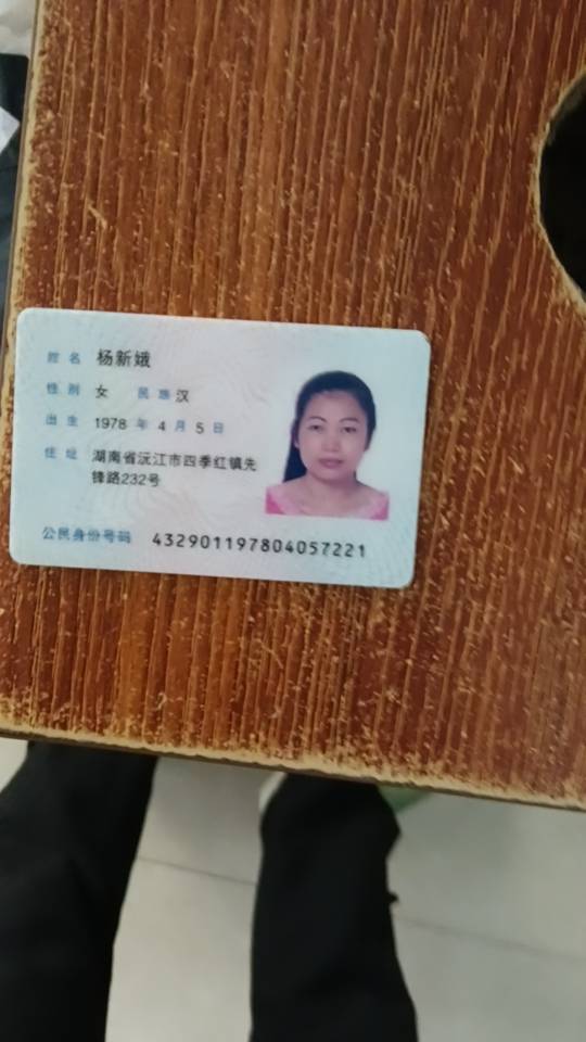杨阿姨照片