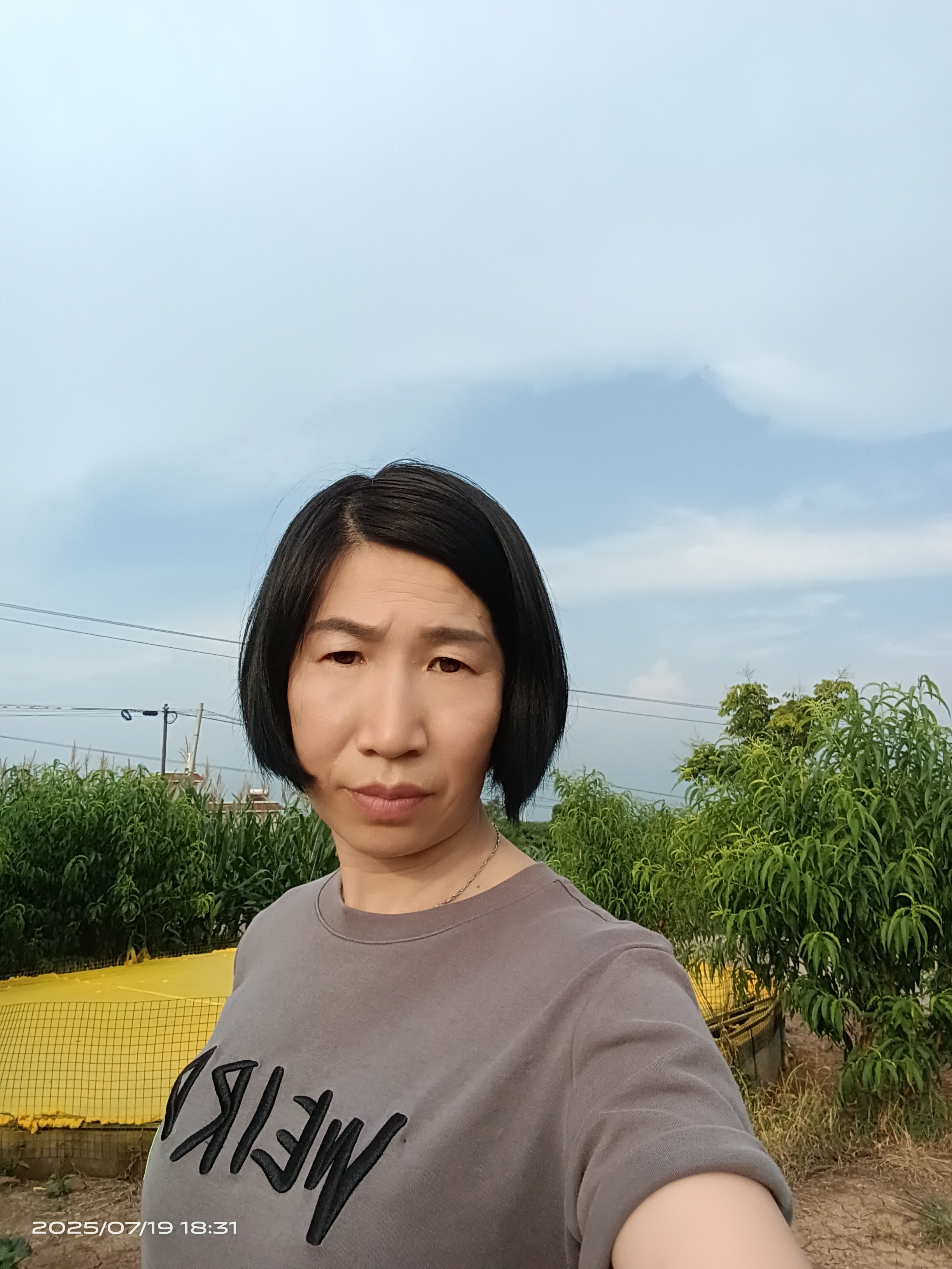 杨阿姨照片