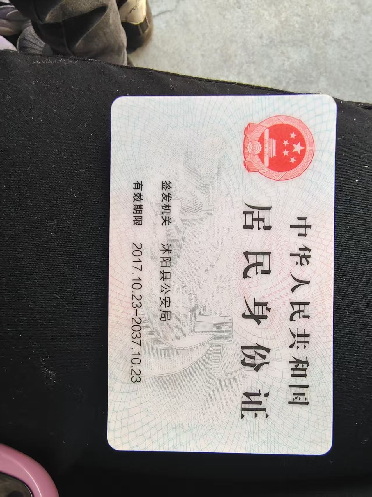 朱阿姨照片