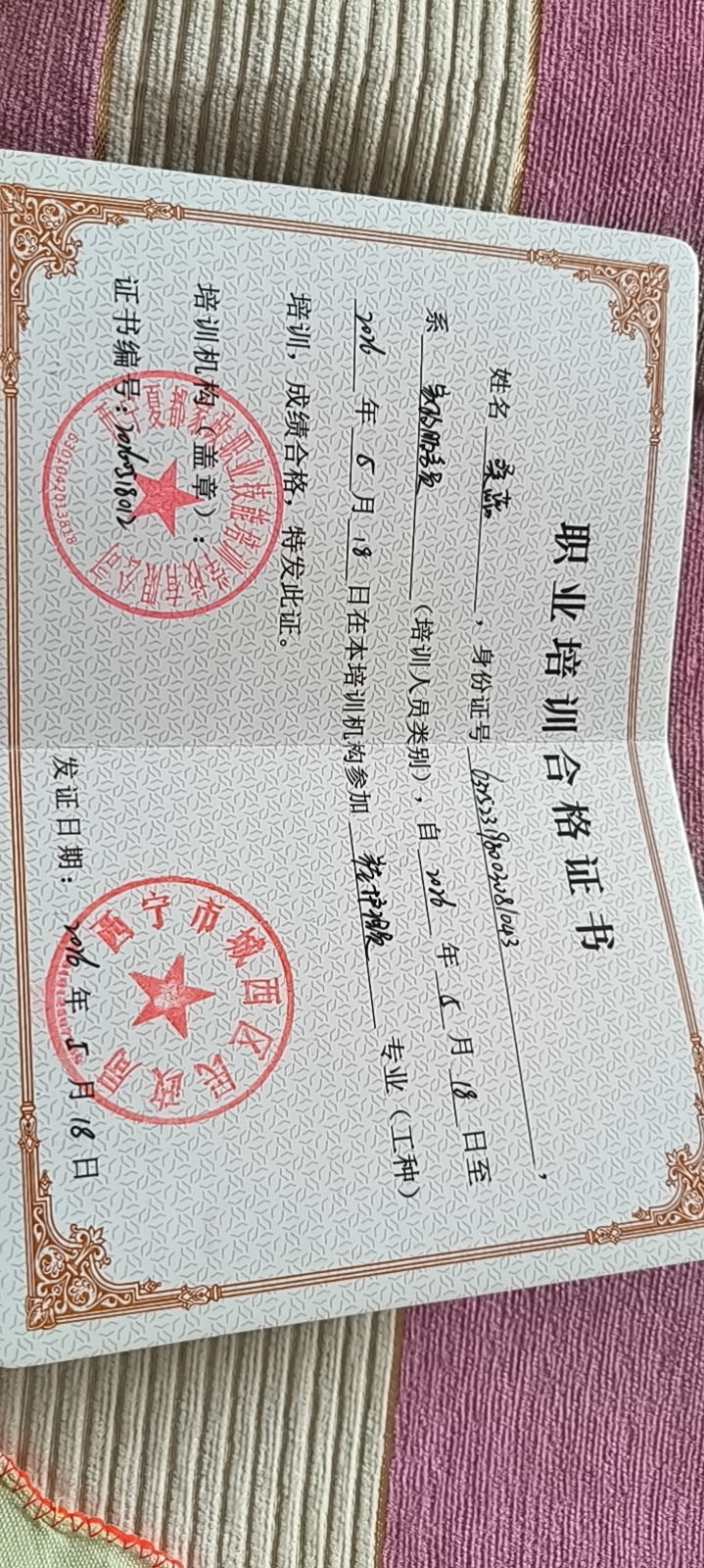 桑阿姨照片