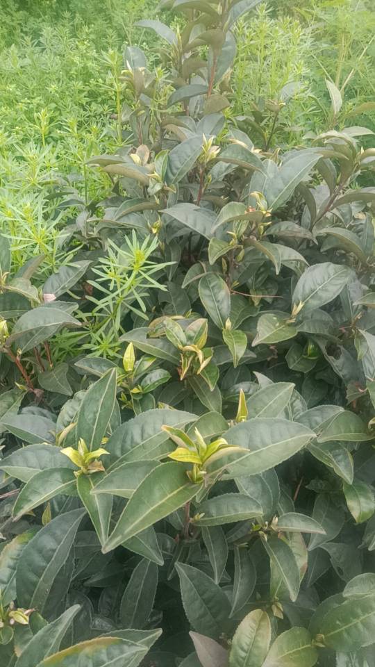 徐护工照片