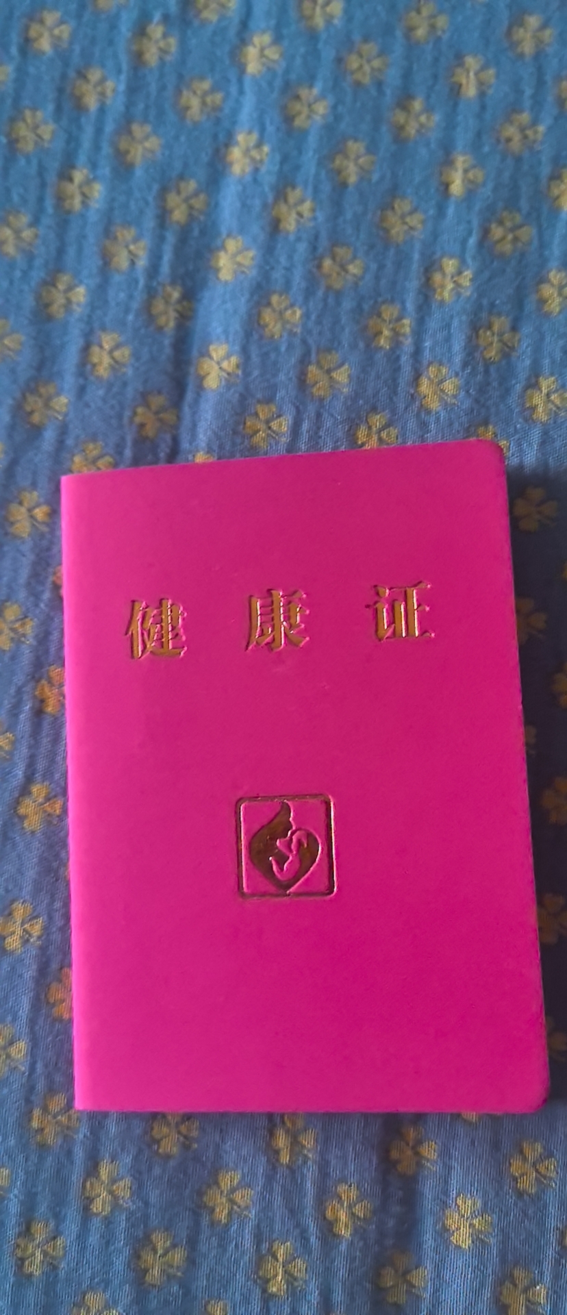 李阿姨照片