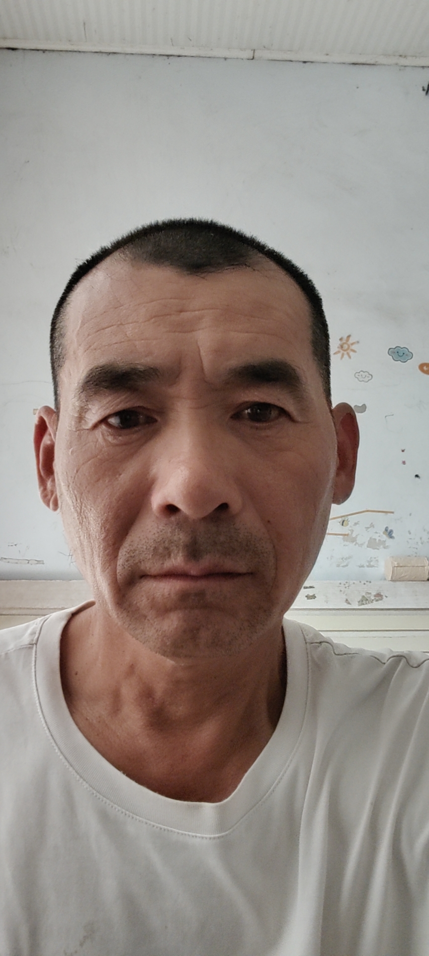 阿姨资料照片