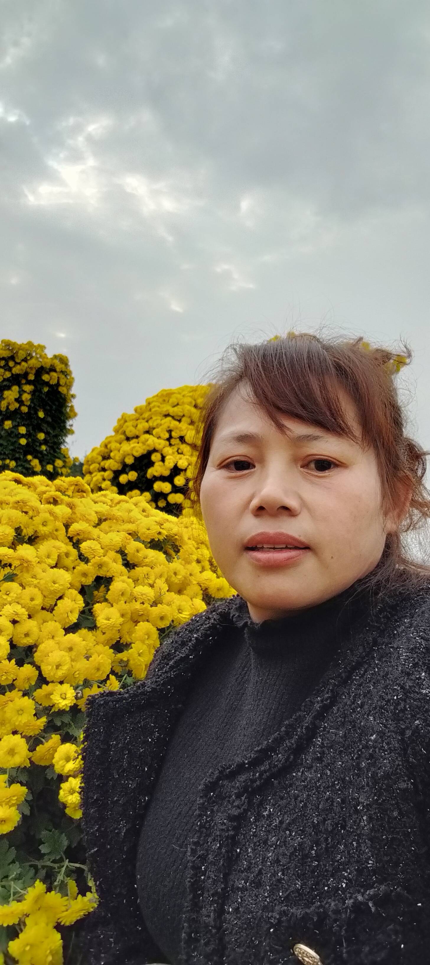 阿姨资料照片