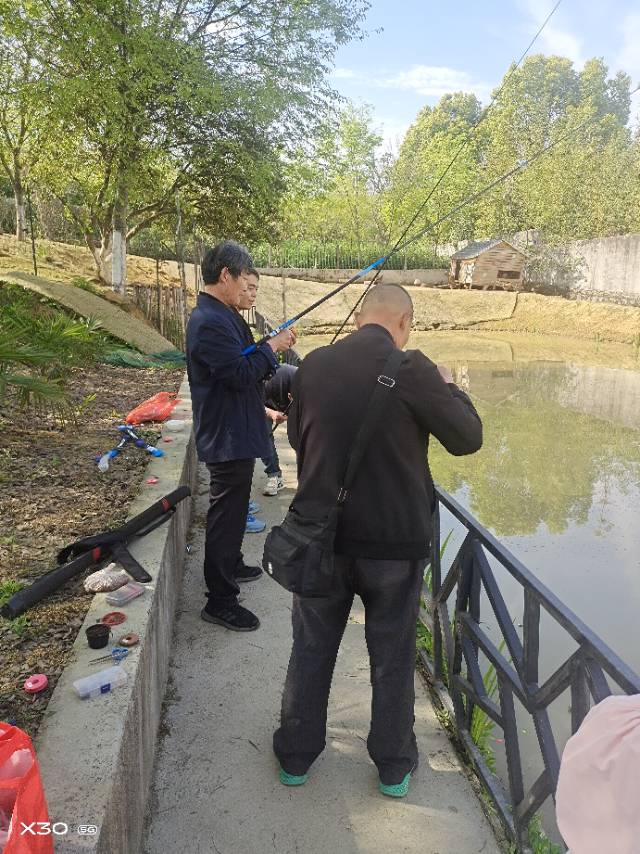 陶阿姨照片