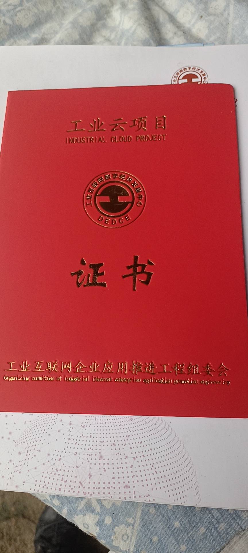 陈阿姨照片