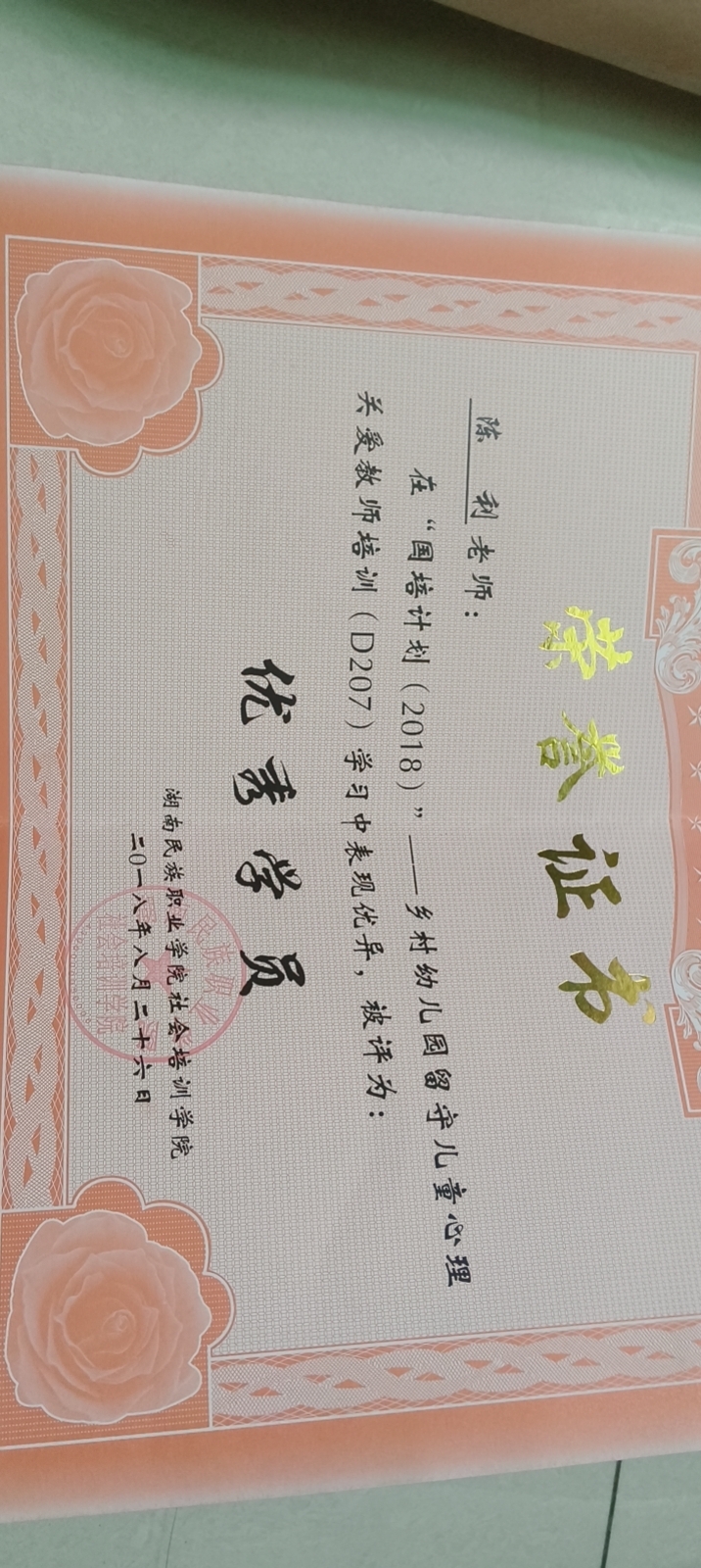 陈阿姨照片