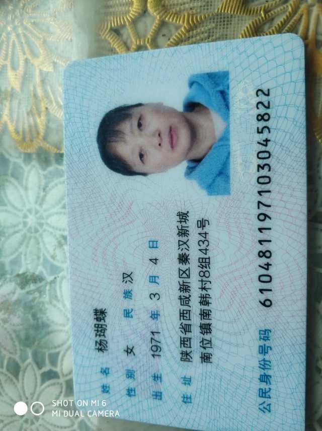 杨阿姨照片