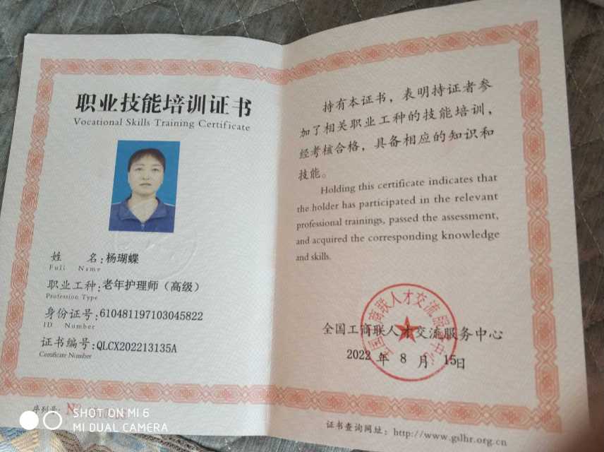 杨阿姨照片