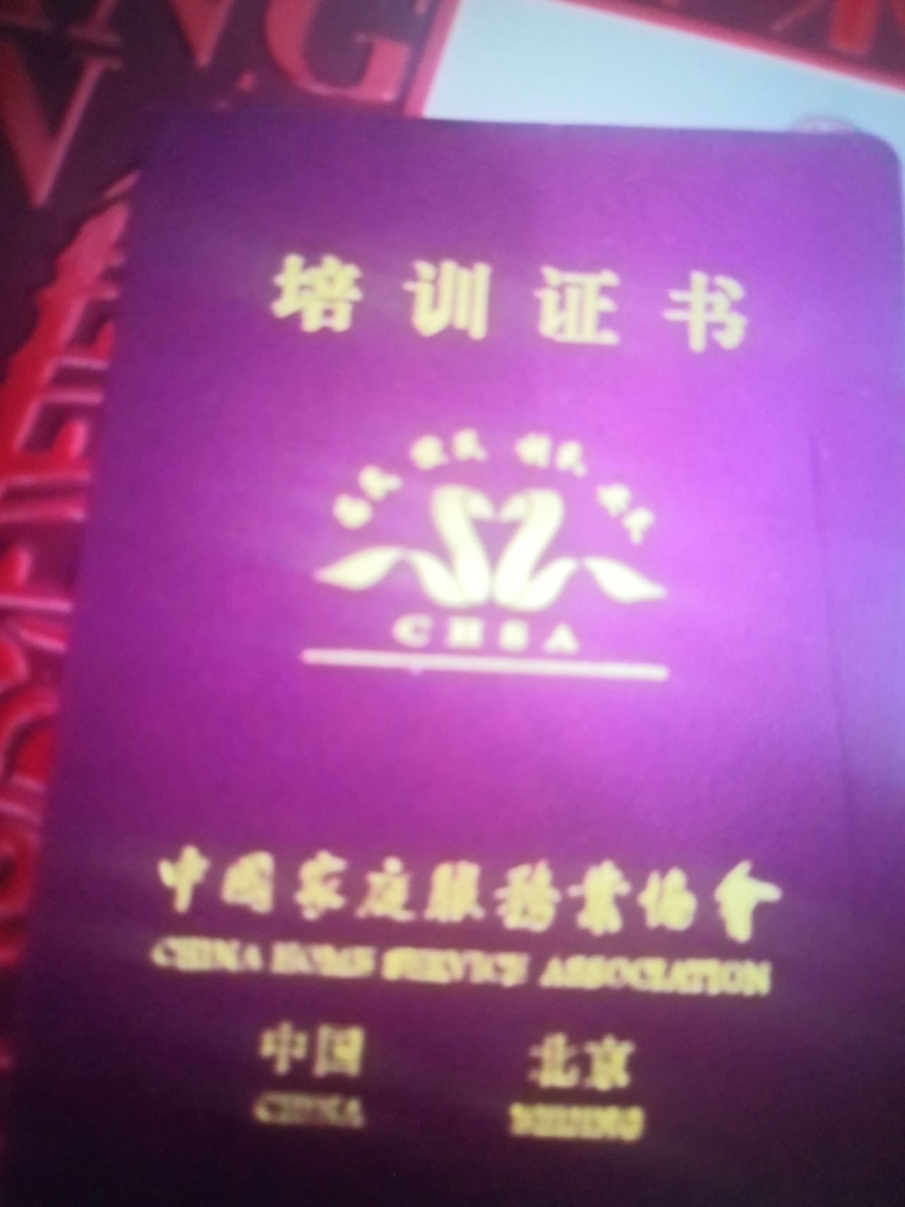 杨阿姨照片