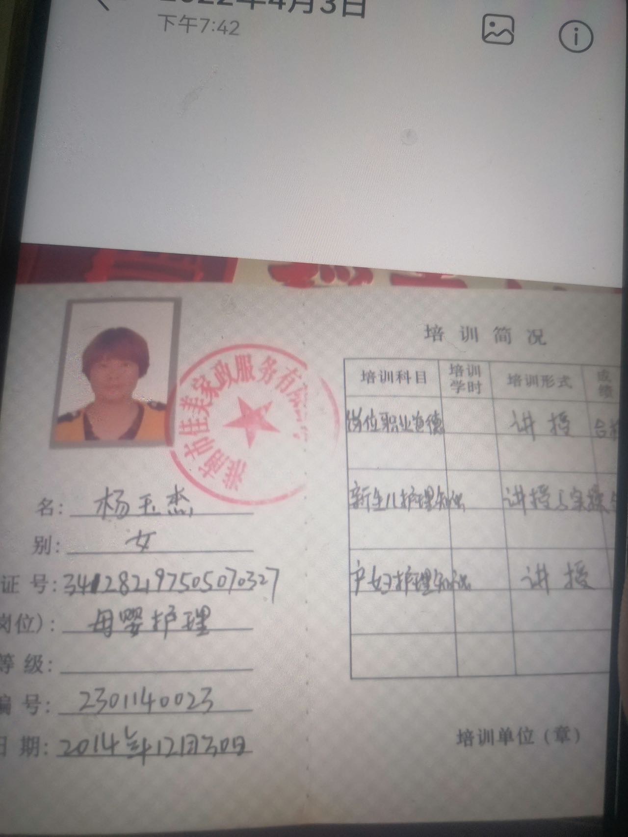 杨阿姨照片