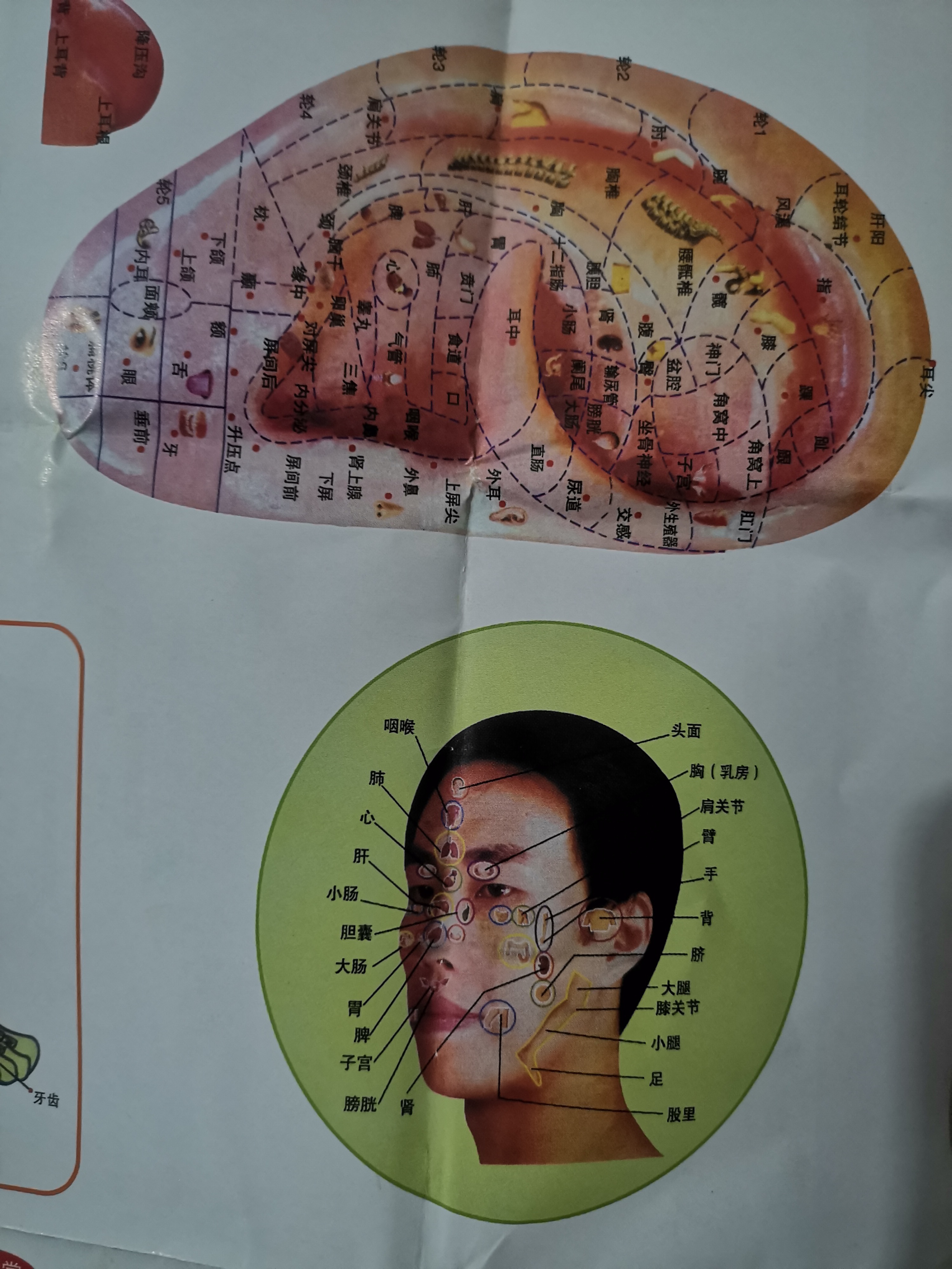 王护工照片