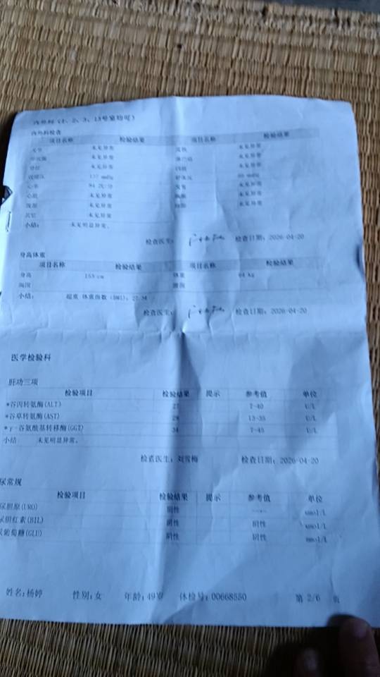 杨阿姨照片
