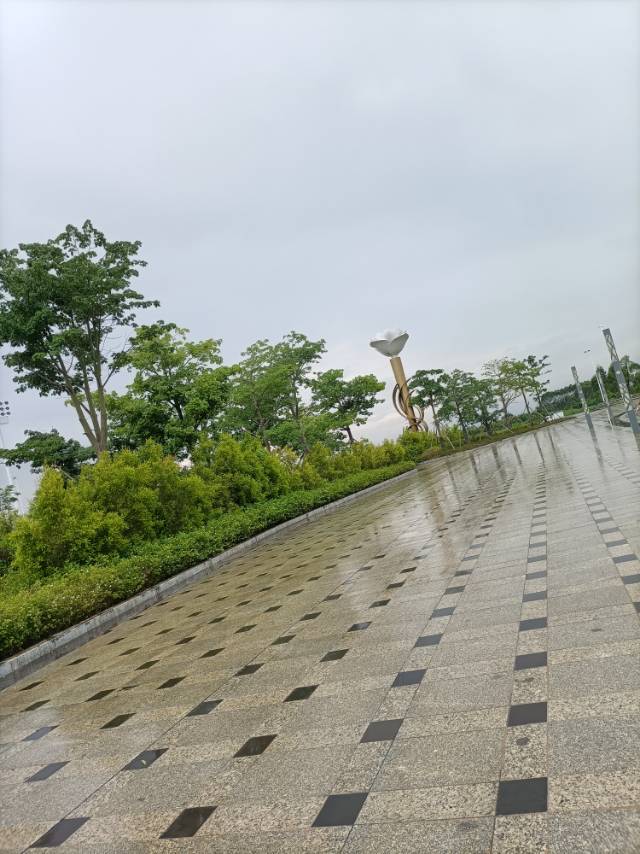 悦阿姨照片