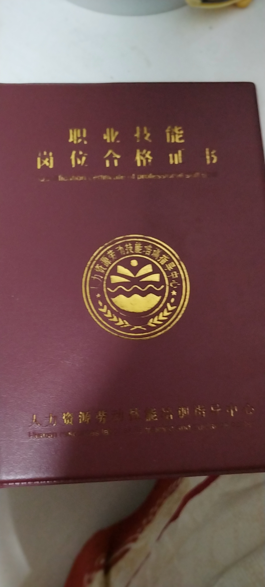 袁阿姨照片