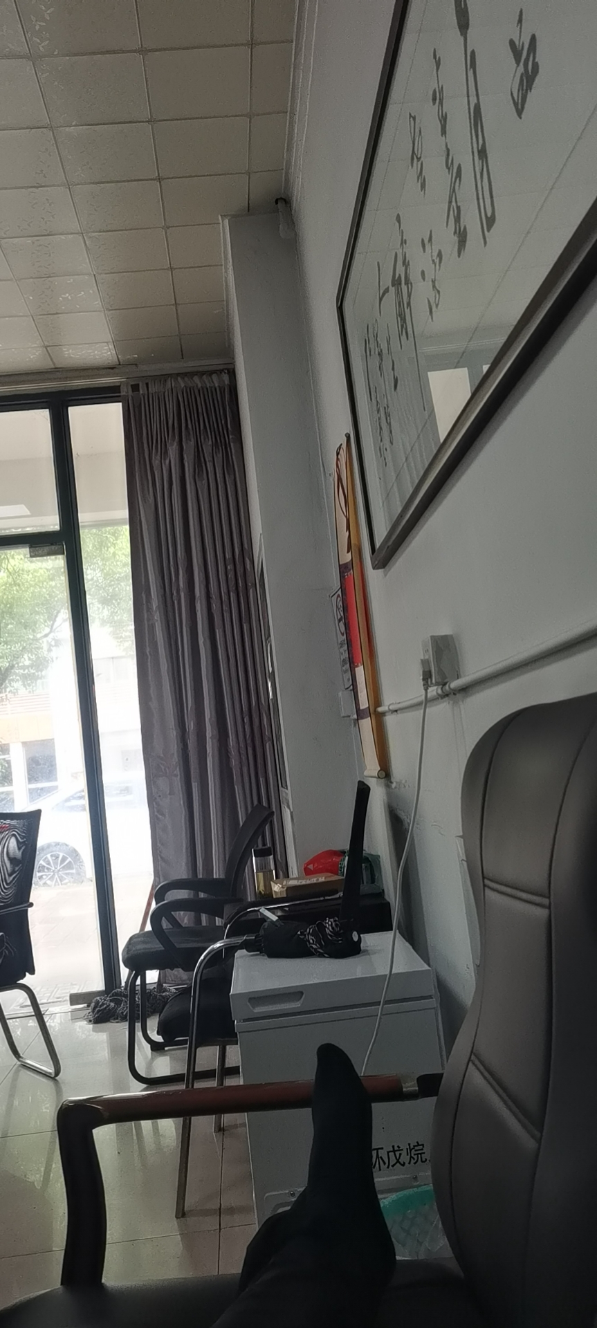 沈阿姨照片