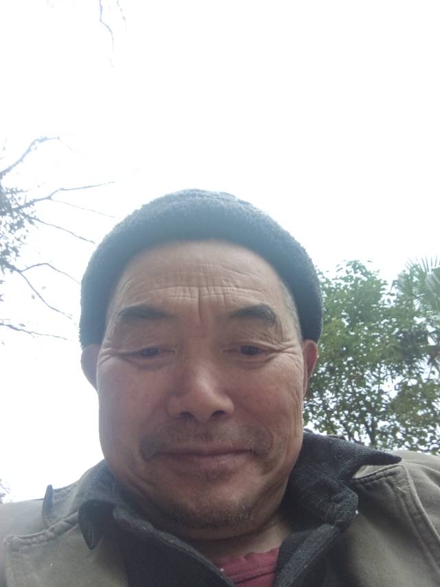 阿姨资料照片