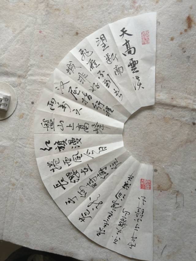 于阿姨照片