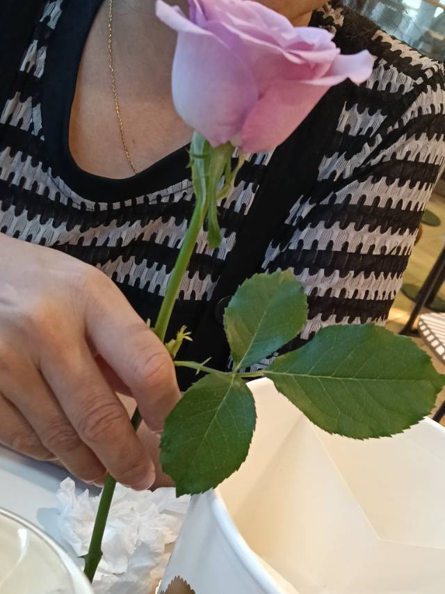 戴阿姨照片
