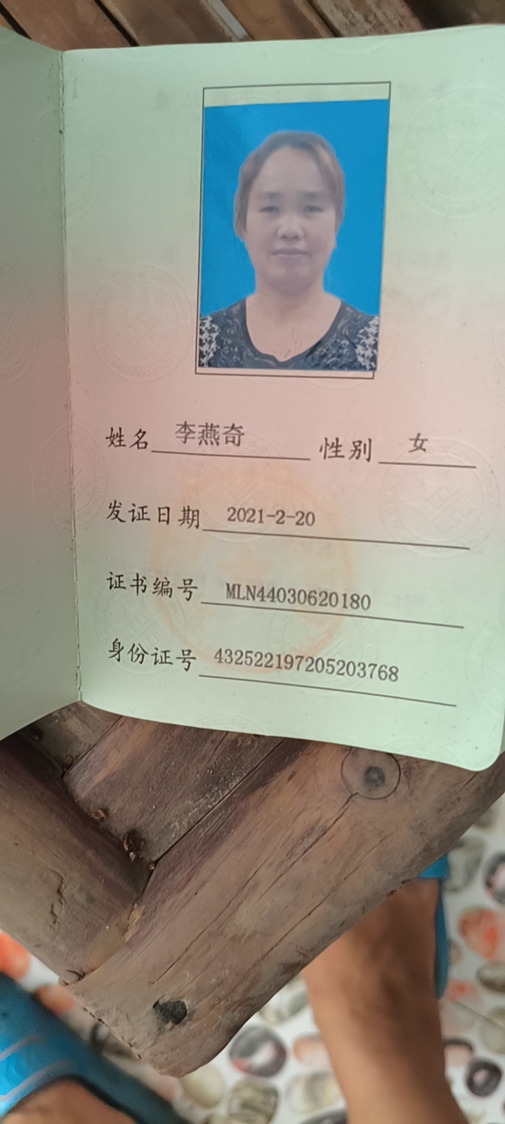 李阿姨照片