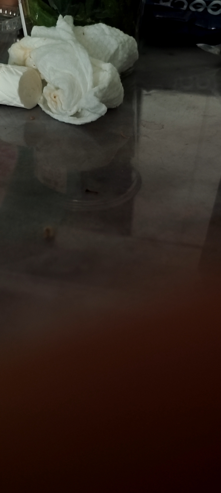 秦阿姨照片