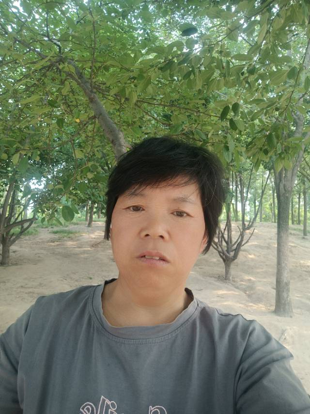 阿姨资料照片