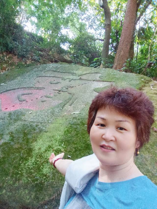阿姨资料照片