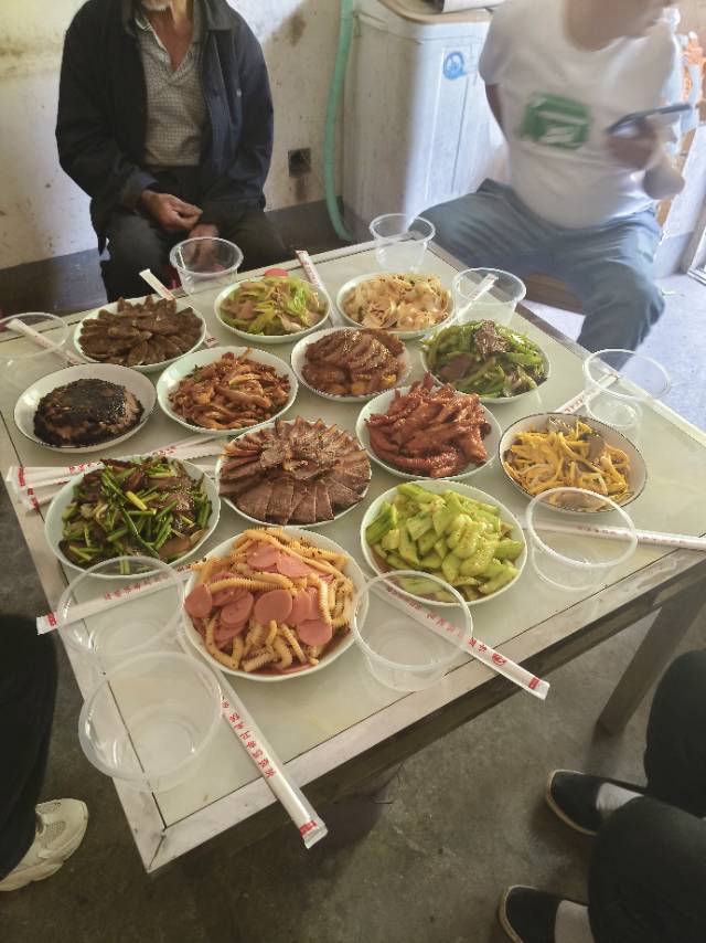 凤阿姨照片