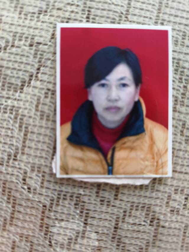 陈阿姨照片