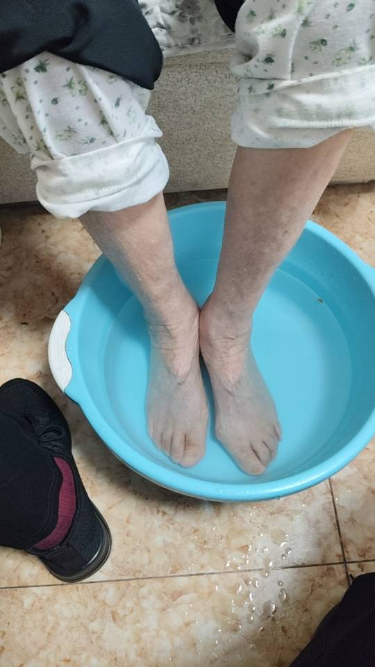 杨阿姨照片
