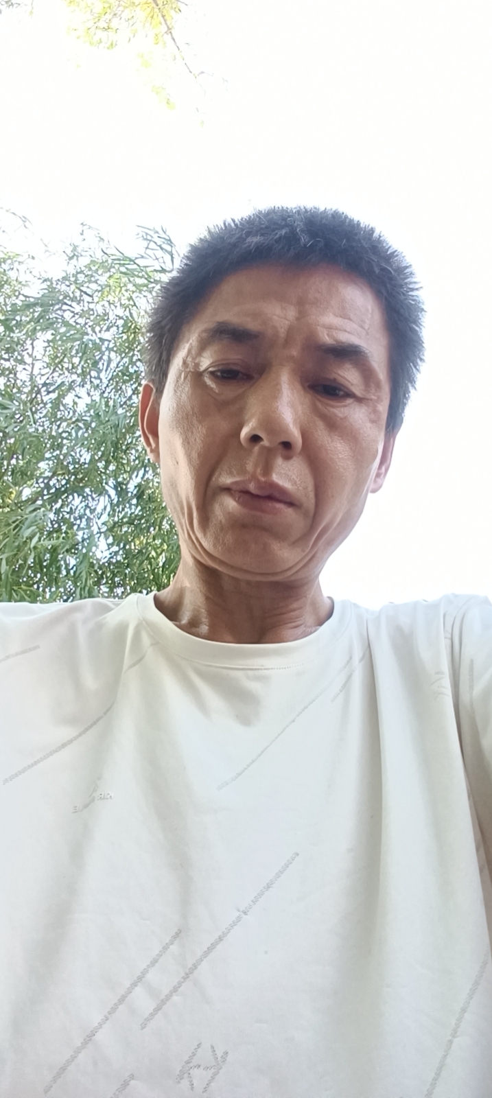阿姨资料照片