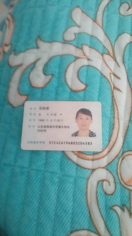 范阿姨照片