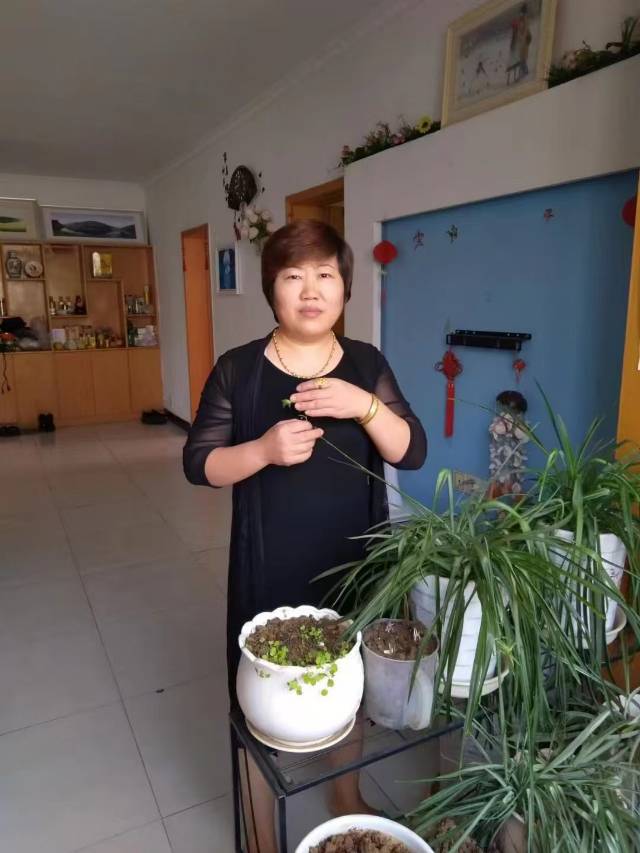 杨阿姨照片