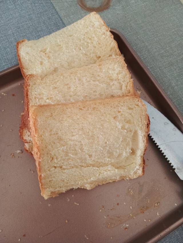 毛阿姨照片