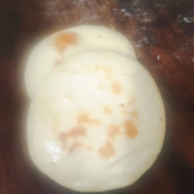 吴阿姨照片