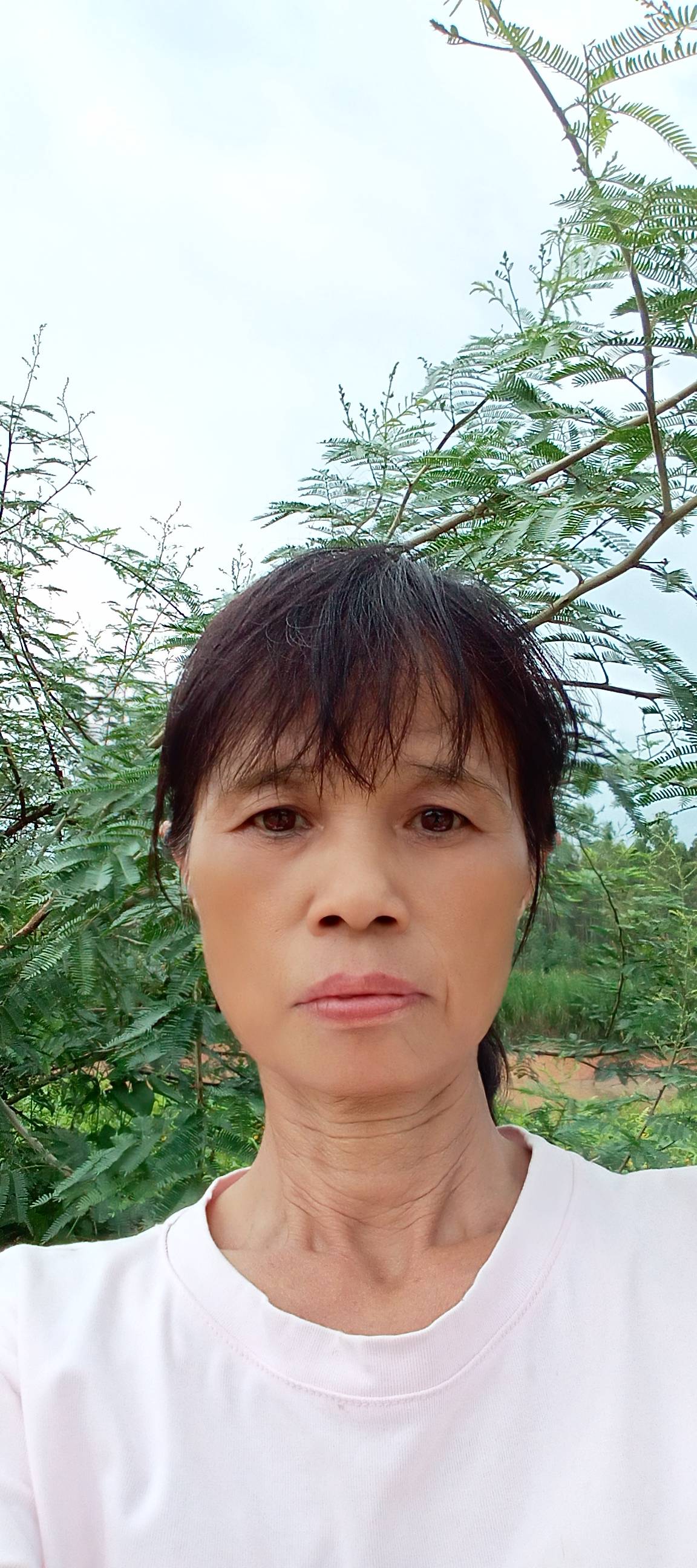 阿姨资料照片