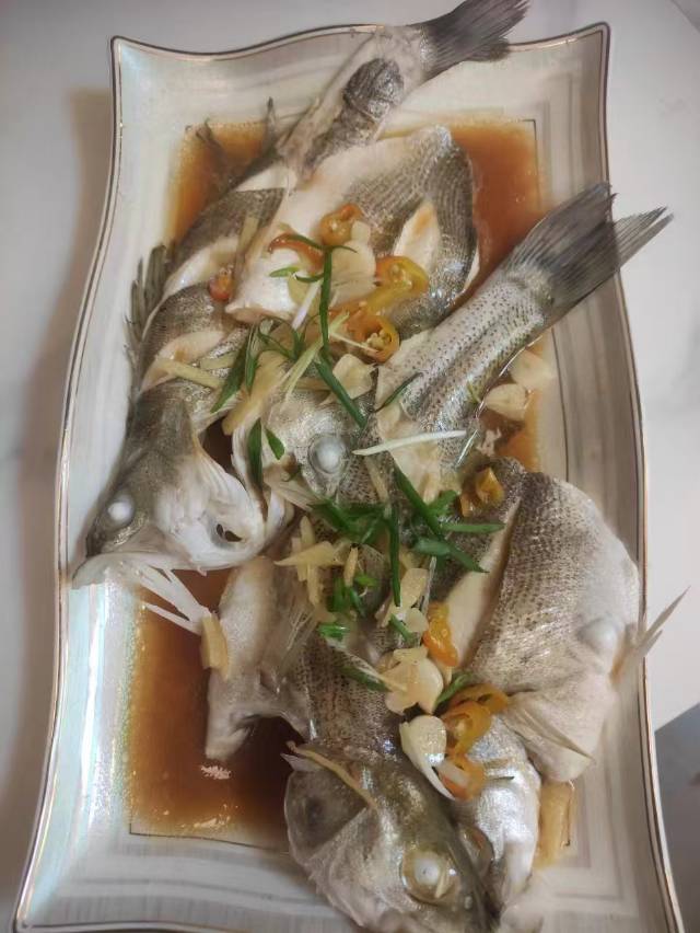 潘阿姨照片
