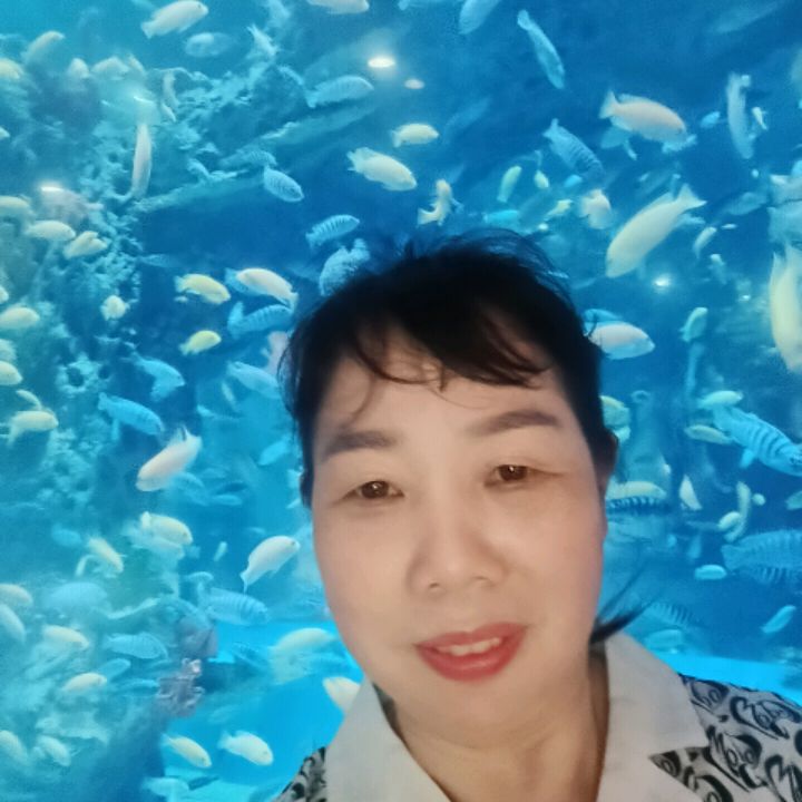 阿姨资料照片