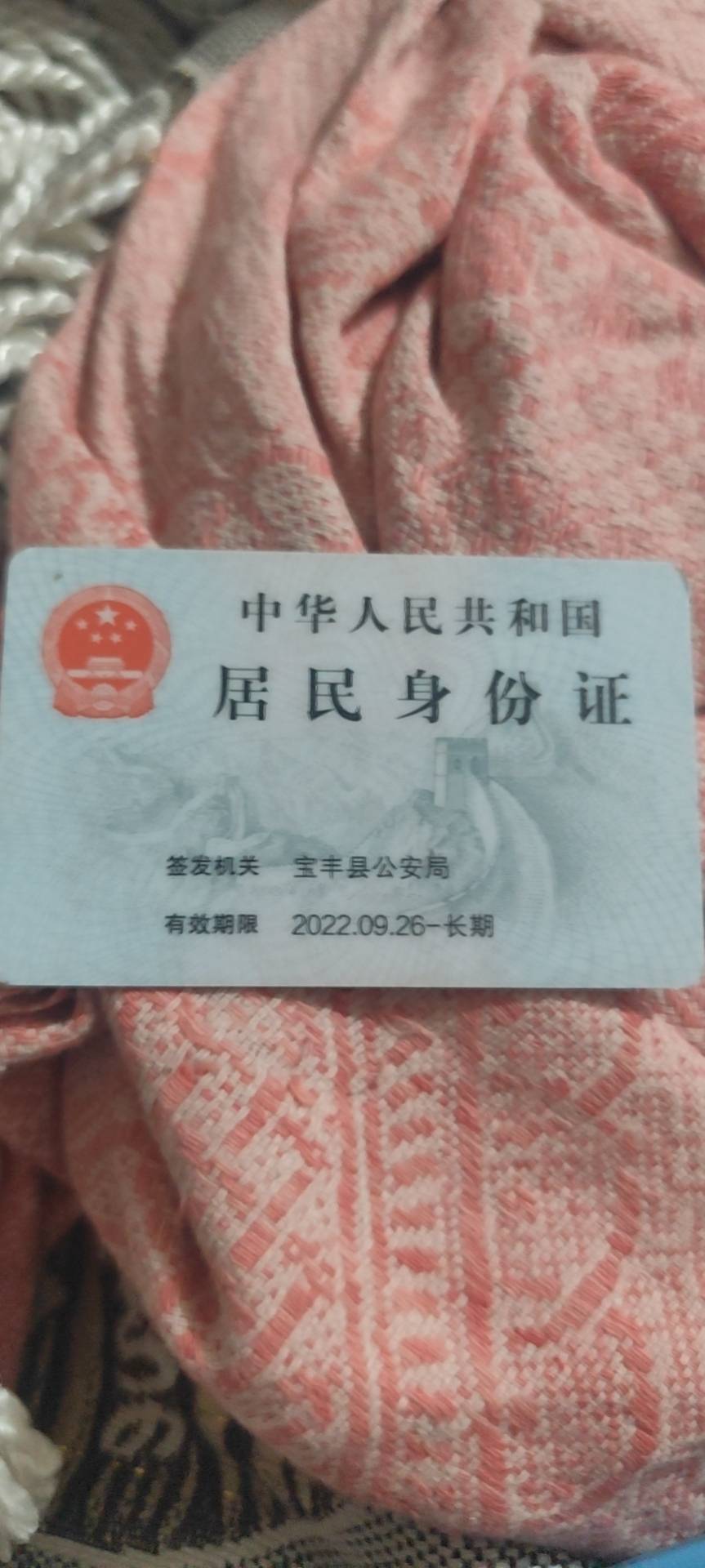 程阿姨照片