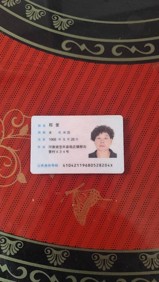 程阿姨照片