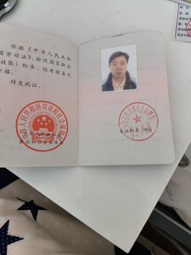 杨阿姨照片
