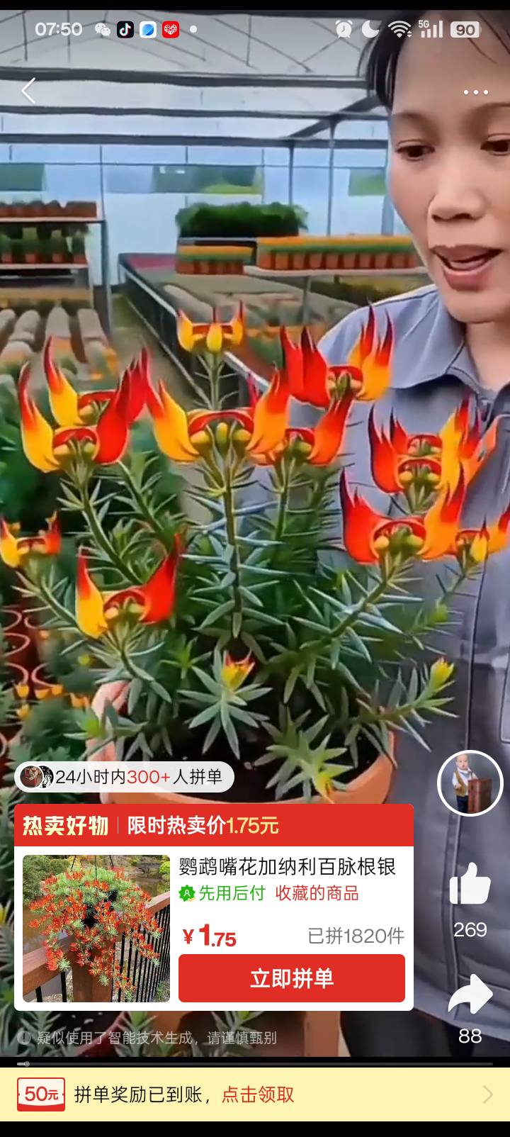 文阿姨照片