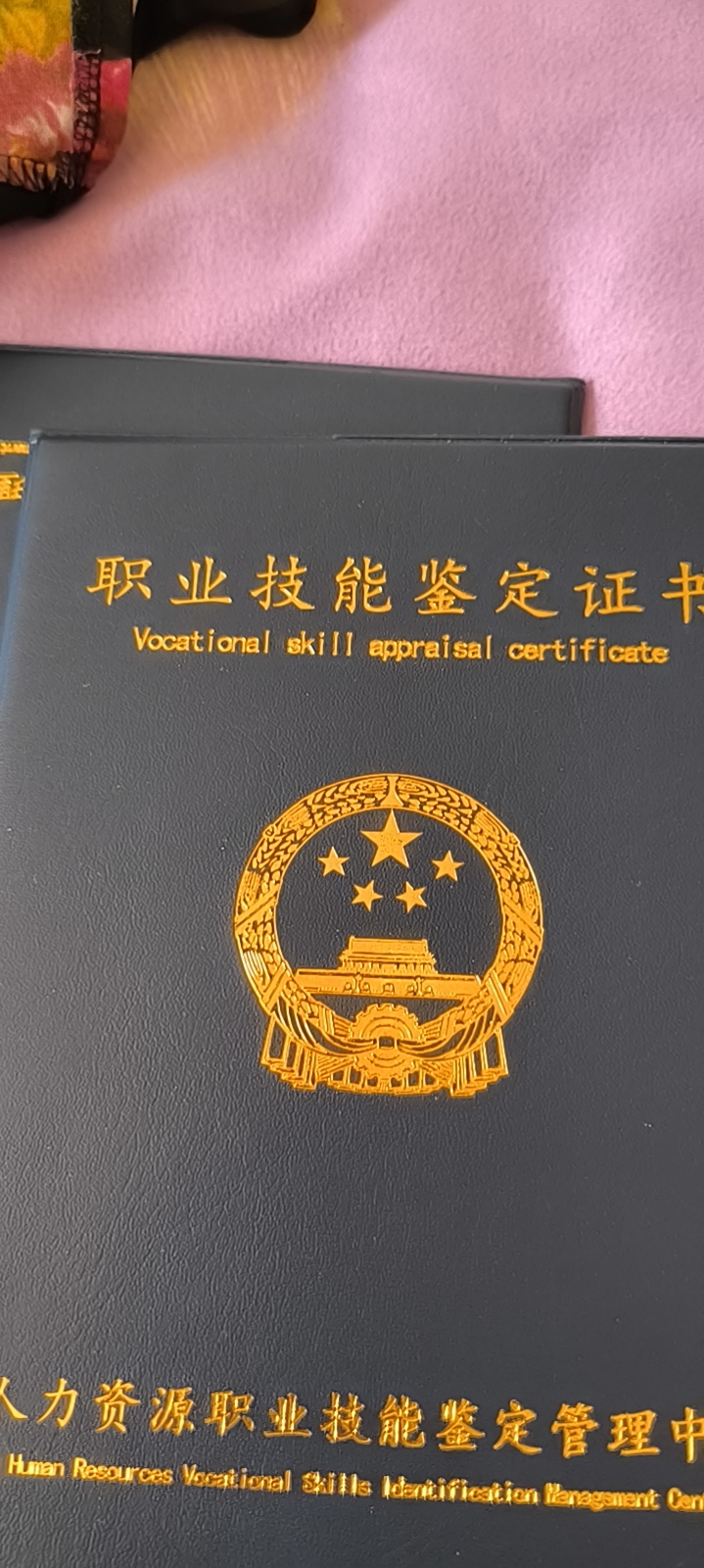 阿姨资料照片